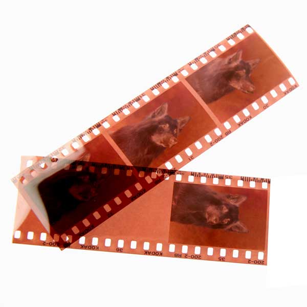 35mm Colour Film